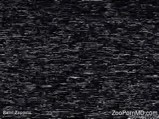New Animal Porn Videos, Fresh Zoophilia, Daily Updates .